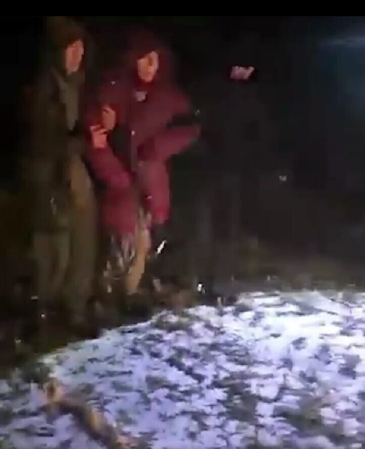 На Киевщине полицейский пес спас бабушку, которая едва не замерзла ночью в лесу. Видео