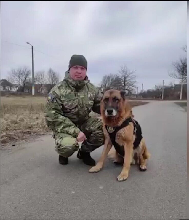 На Київщині поліцейський пес врятував бабусю, яка ледь не замерзла вночі у лісі. Відео