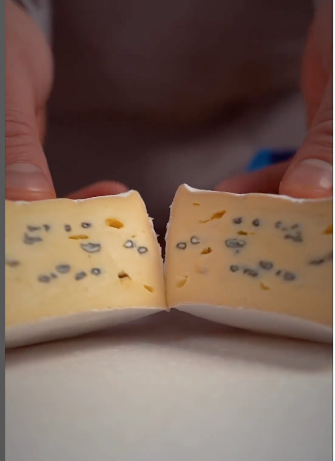 Сыр с плесенью