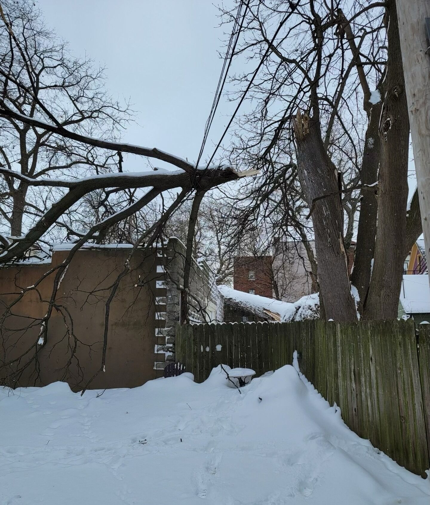 Снег сломал дерево