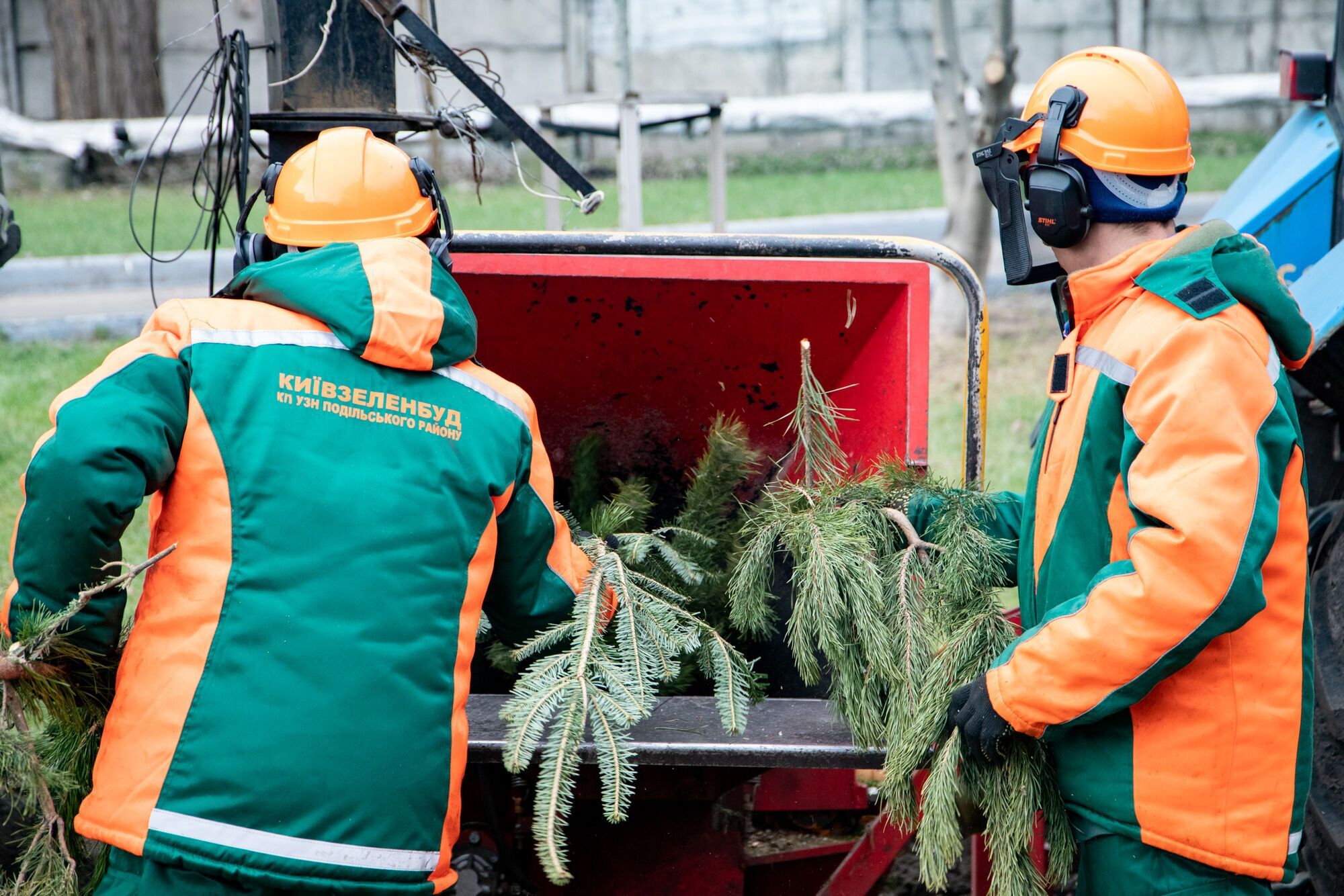 Стало известно, где в Киеве можно будет сдать елки на переработку: адреса