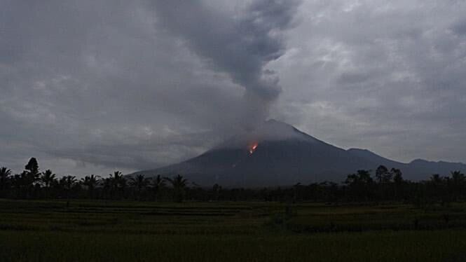 В Индонезии на острове Ява проснулся вулкан Семеру: объявлен максимальный уровень опасности. Фото и видео