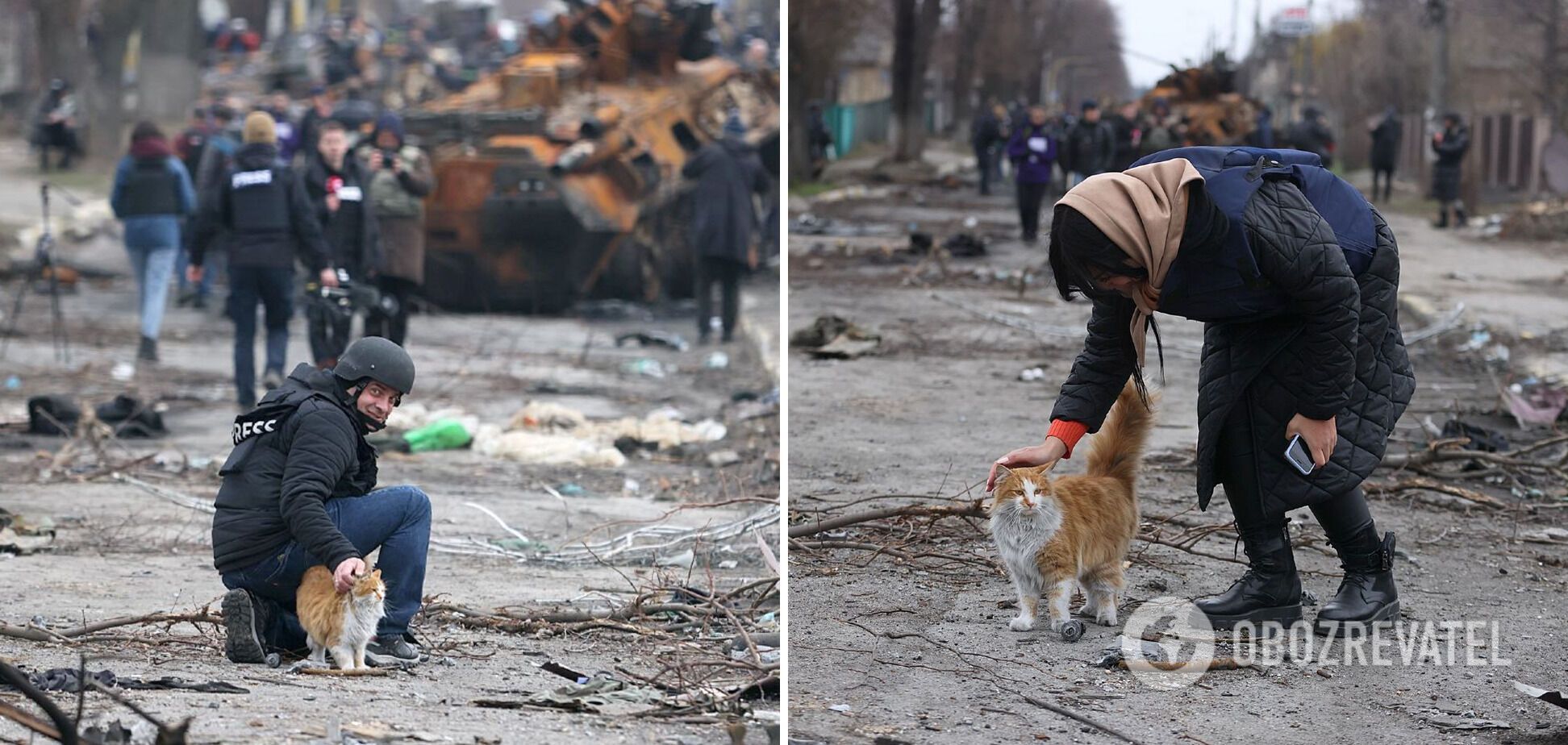 Стало відомо, хто з українських зірок виявився господарем рудого котика, який позував на фото зі зруйнованої Бучі