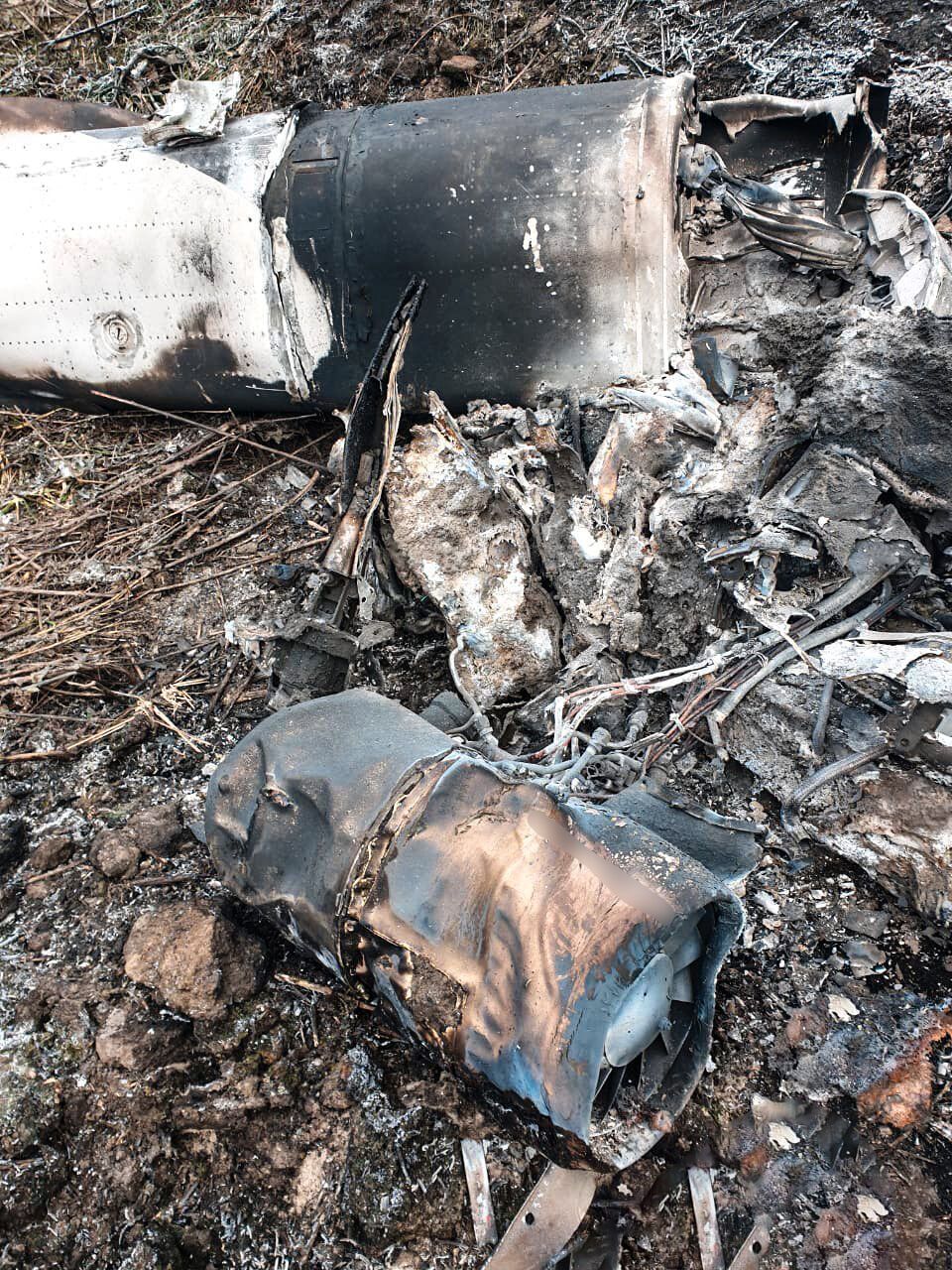 Украинские нацгвардейцы сбили вражескую крылатую ракету Х-101 из стрелкового оружия: фото и впечатляющие подробности