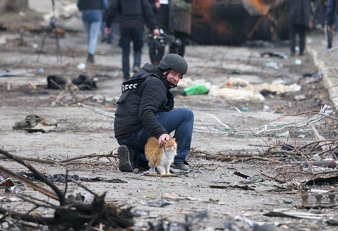 Пушистики в условиях войны: подборка животных, о которых в 2022 году узнала вся Украина