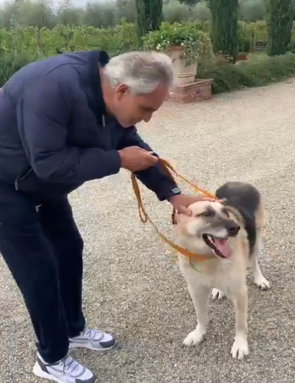 Пухнастики в умовах війни: підбірка тварин, про яких у 2022 році дізналася вся Україна