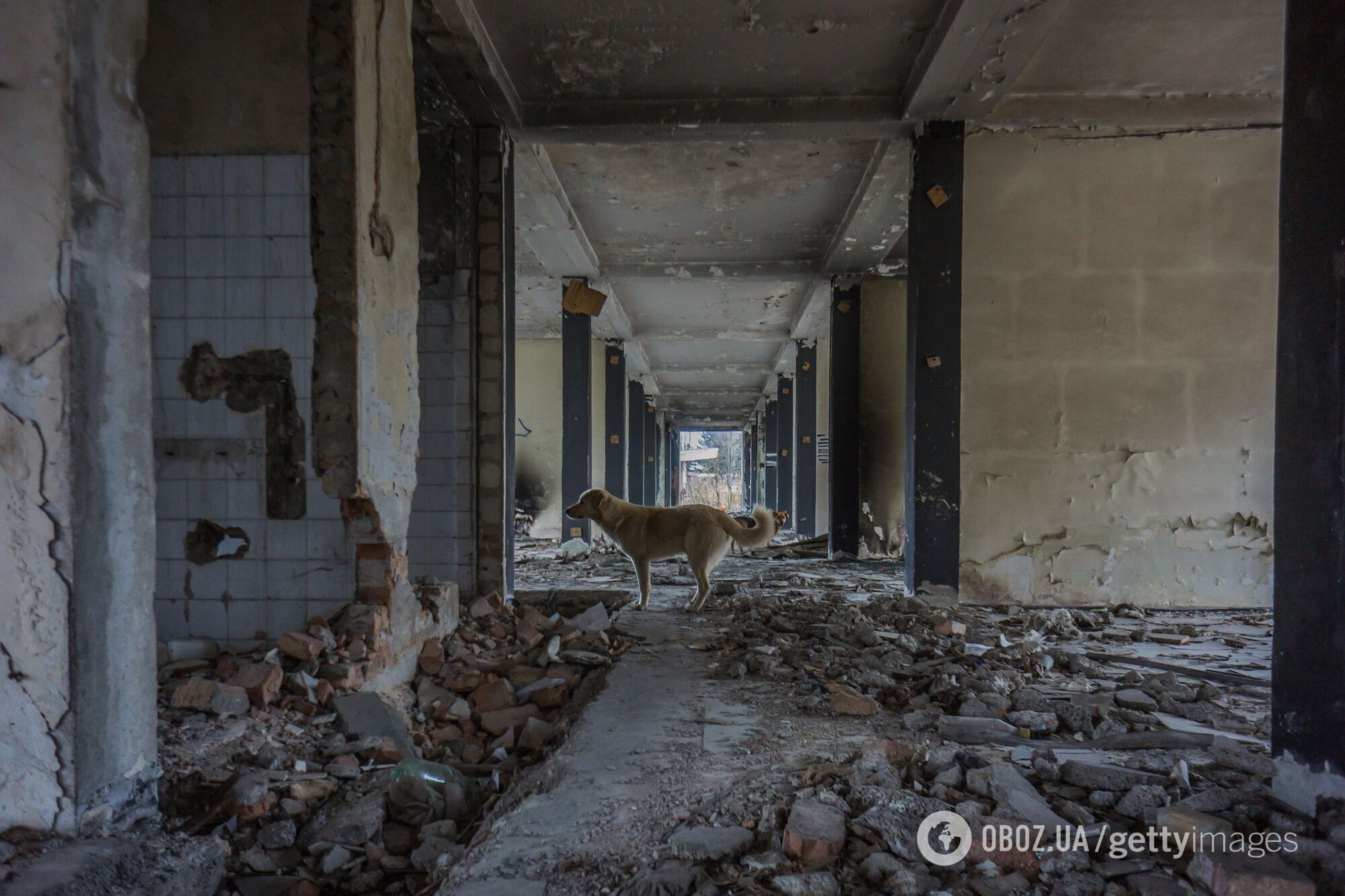 В стенах гостиницы казнили людей