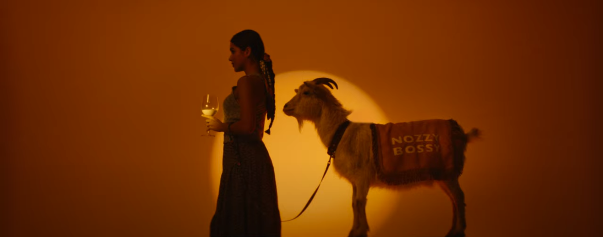 Кадр із кліпу.