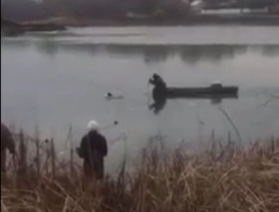 Собака была в холодной воде около получаса.