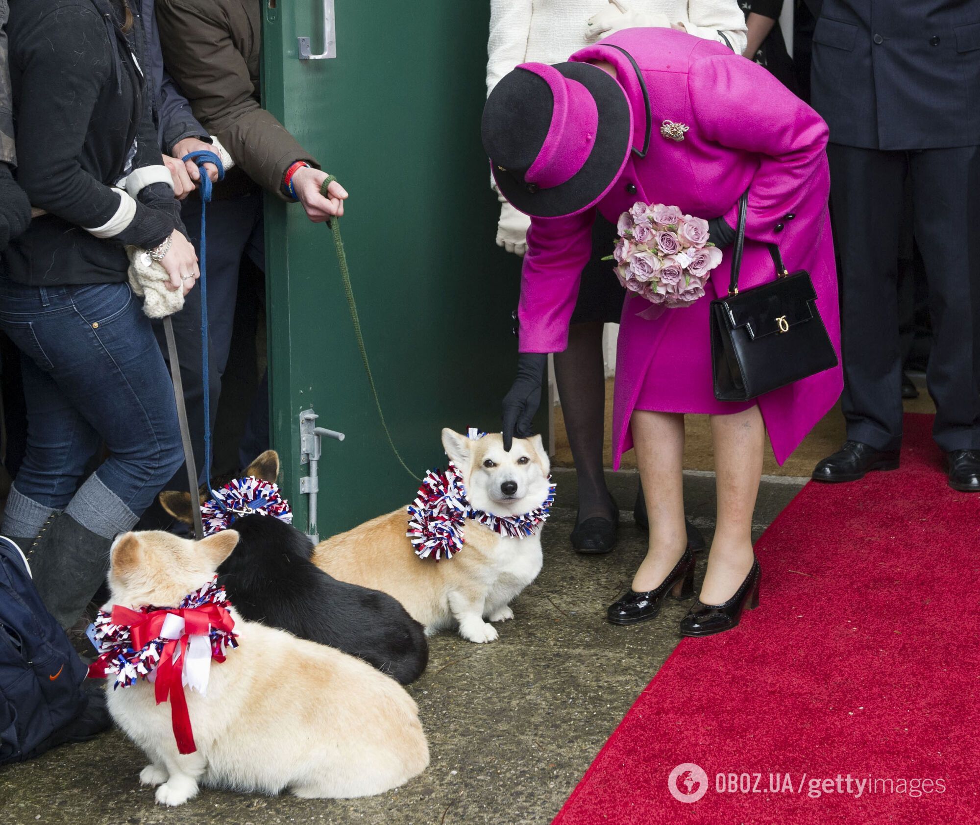 Приобрести одеколон для собак от Елизаветы II можно в сувенирной лавке в Норфолке