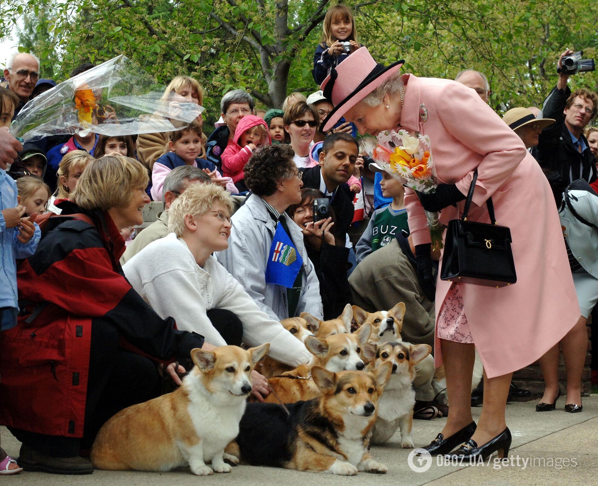 Елизавета II выпустила духи для собак