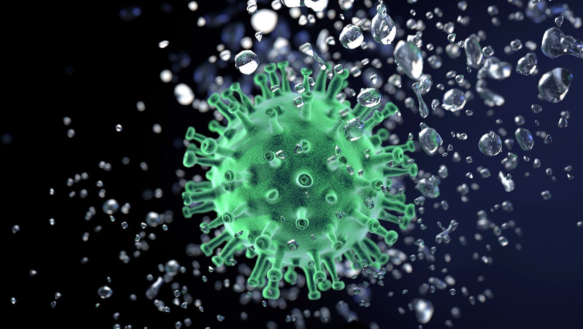 Теорию о первом коронавирусе назвали спекулятивной.