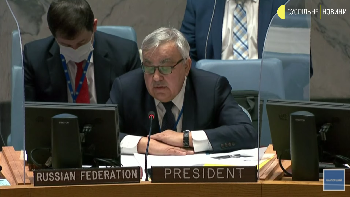 Сергей Вершинин на заседании Совбеза ООН