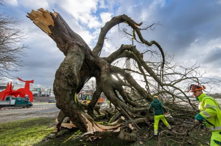 В Германии мощный ураган "Иления" валил деревья и вызвал транспортный коллапс: есть погибшие. Фото и видео