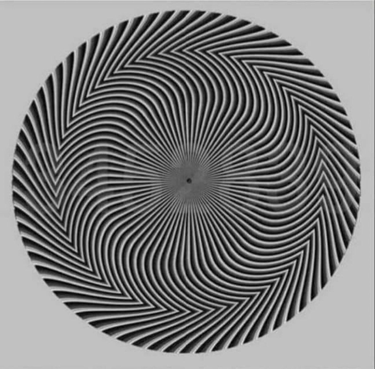 Оптична ілюзія.