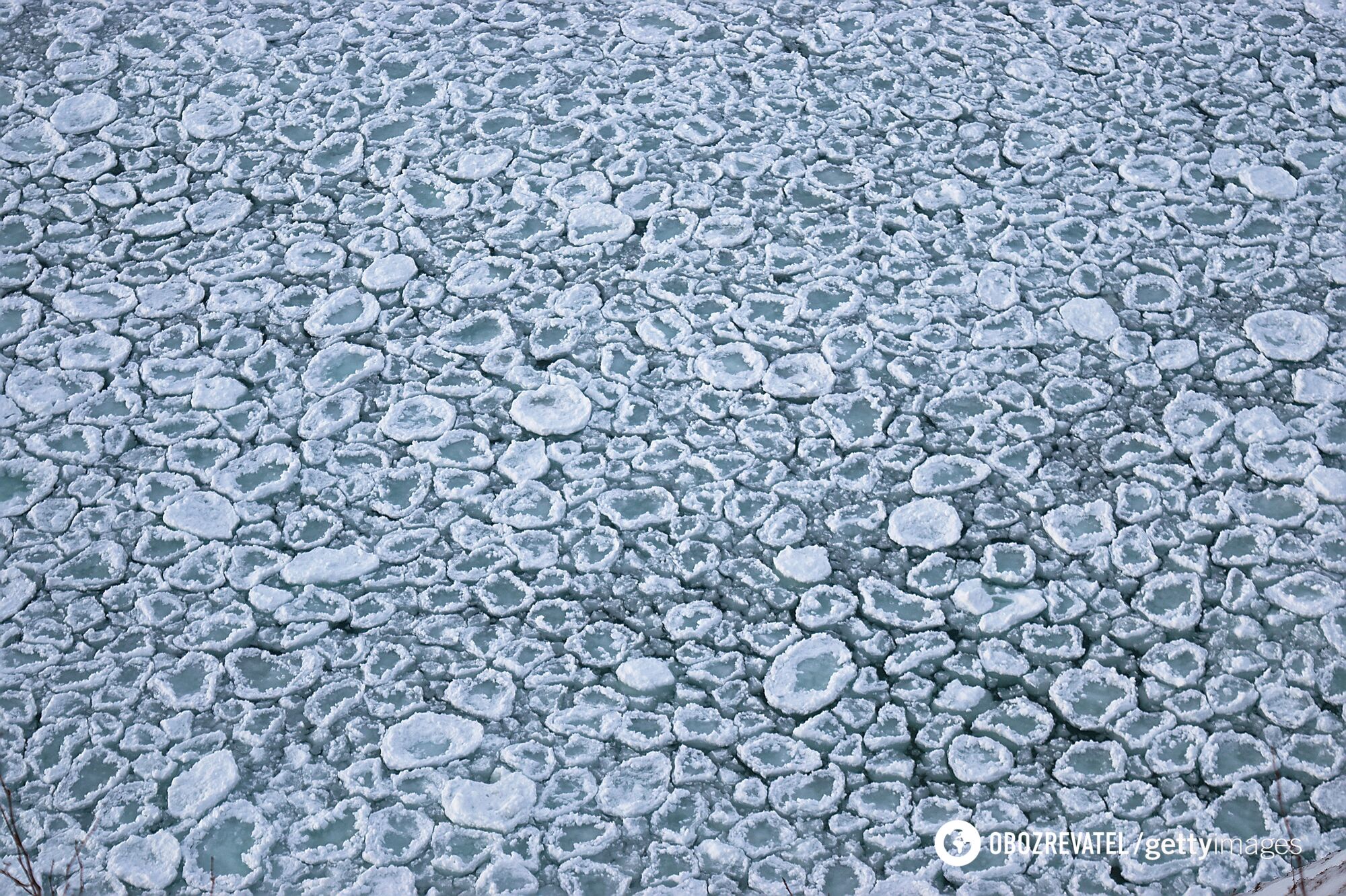 "Блинчатый лед" зачастую встречается в северных регионах