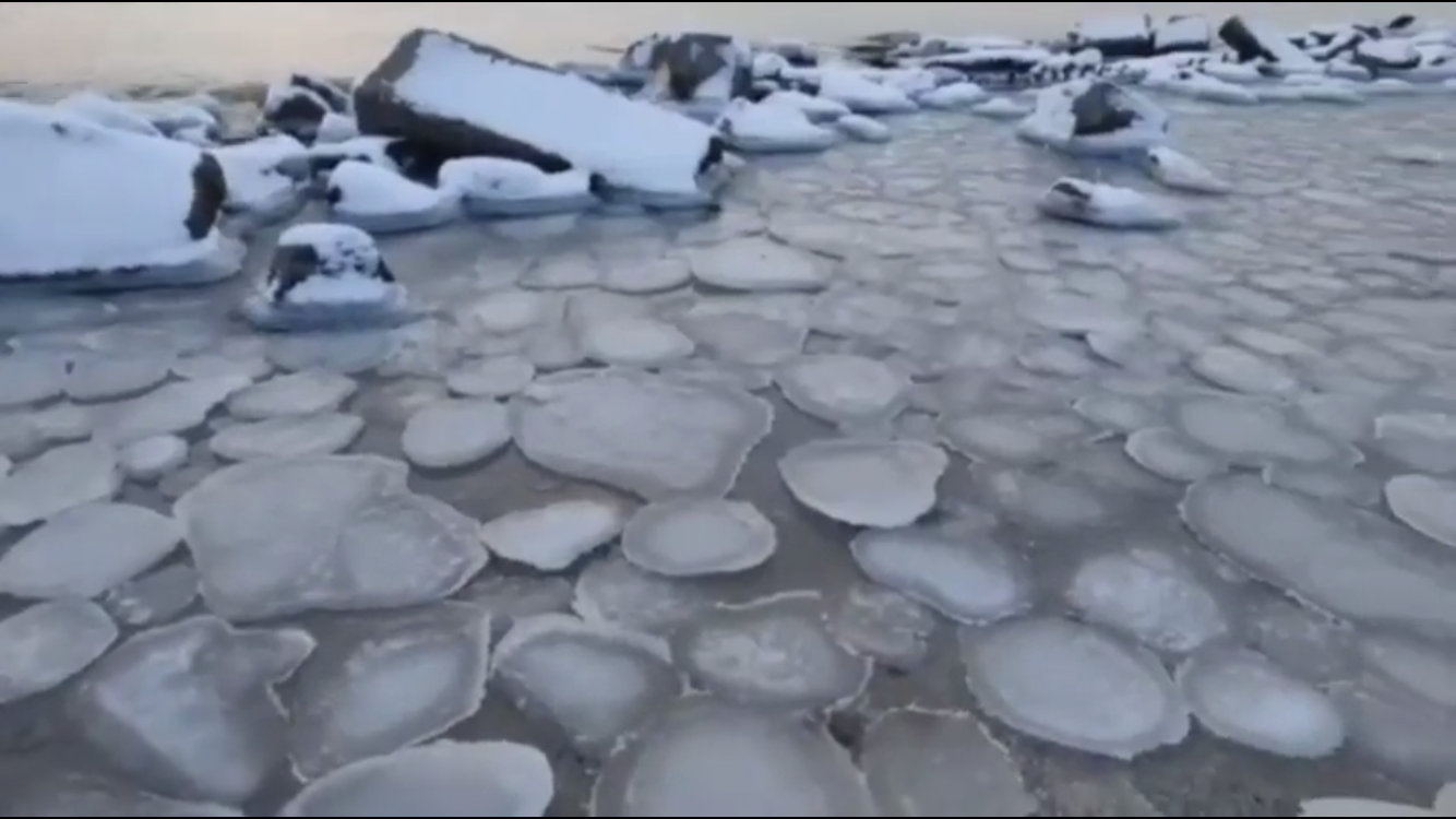В Бердянске лед спутали с замерзшими медузами