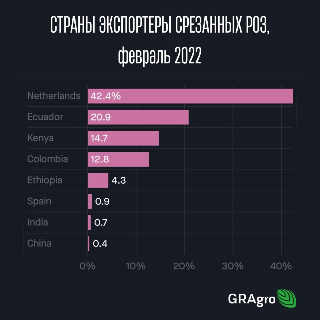 Країни-експортери зрізаних троянд в Україну