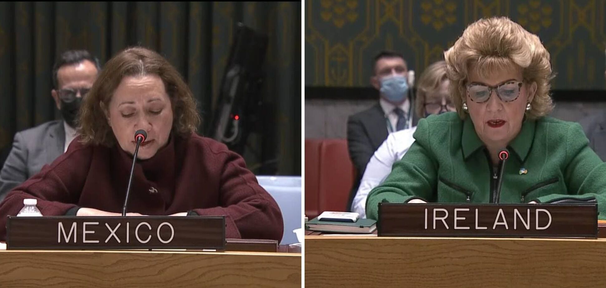 Представители Мексики и Ирландии на заседании Совбеза ООН