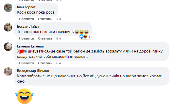 Серед зими у сніжних заметах: на Закарпатті залізничників відправили косити бур'ян. Відео