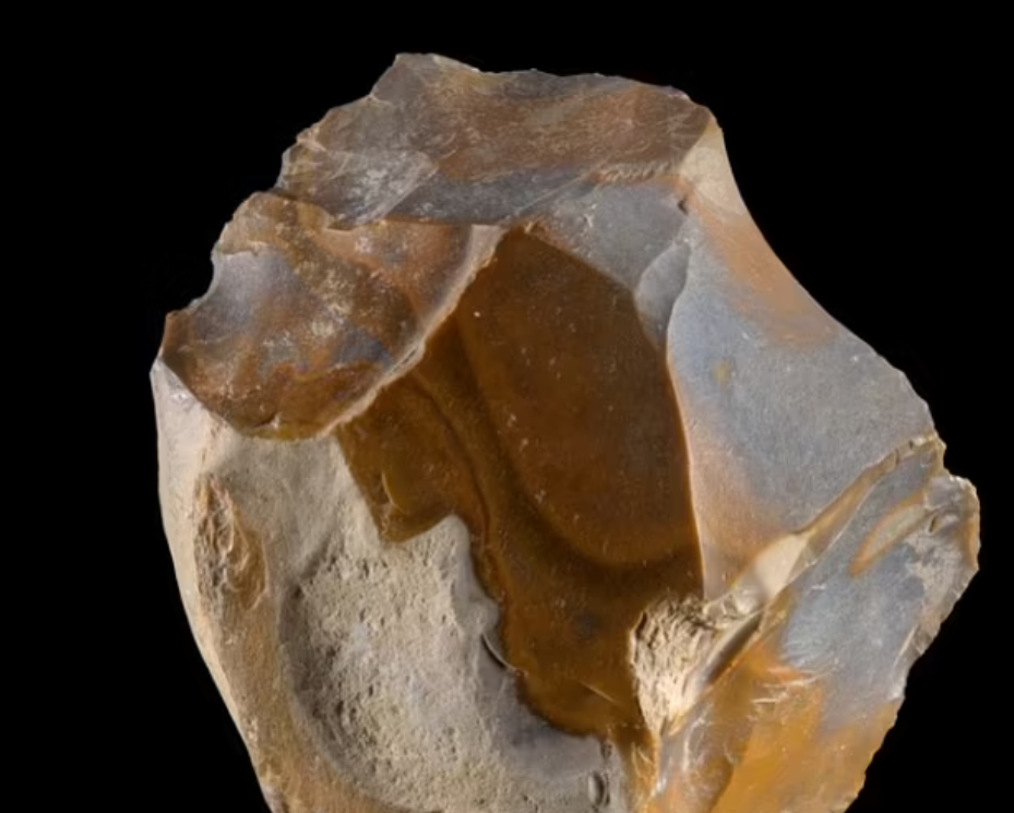 Ріжучий інструмент, якому 1,5 мільйона років, знайдений в Убейдії.