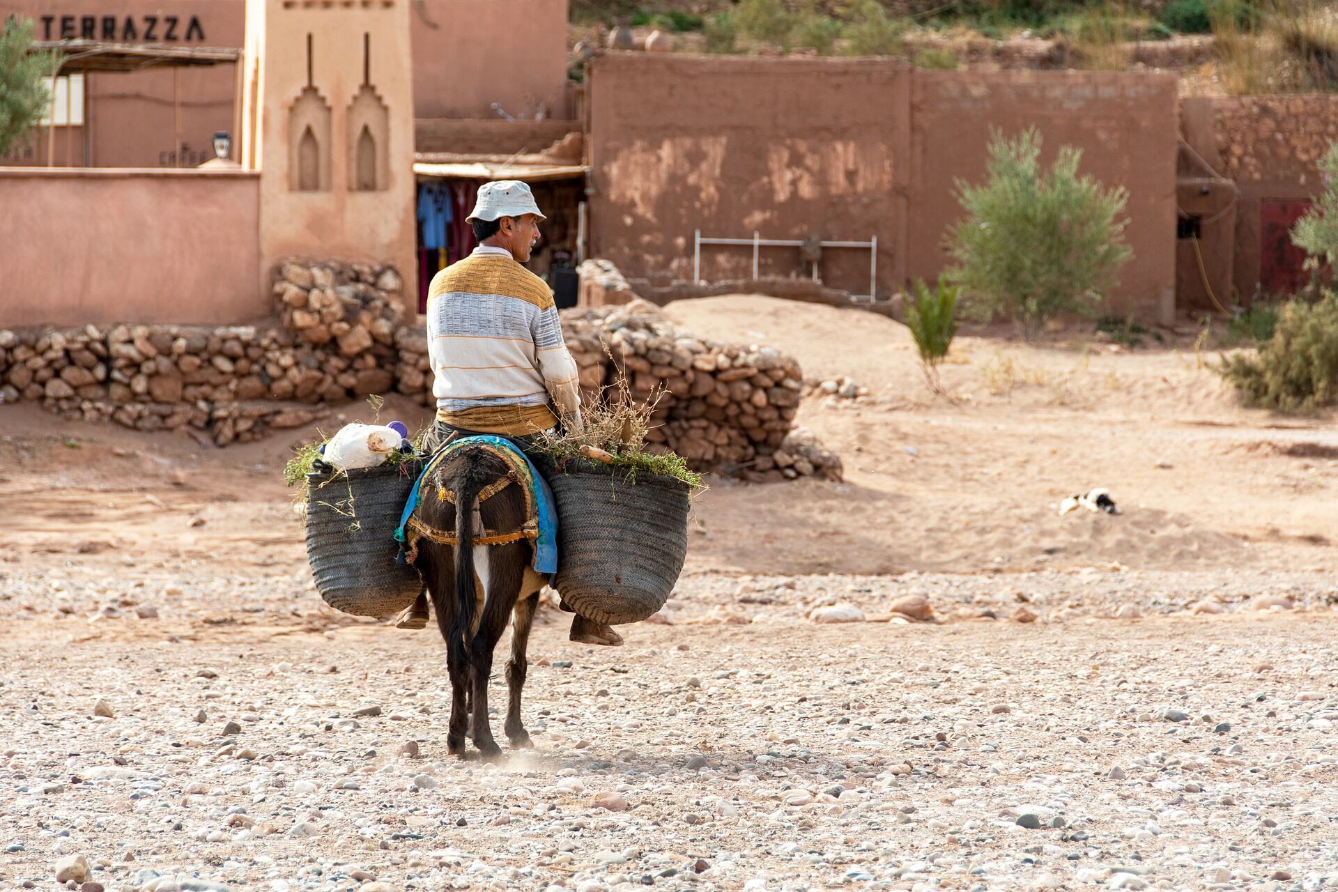 Марокко 7 лютого відкрила кордони для вакцинованих туристів