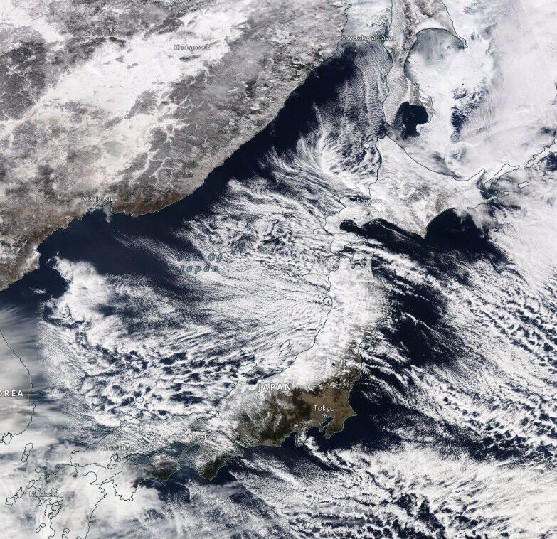 В Японии прошли мощные снегопады.