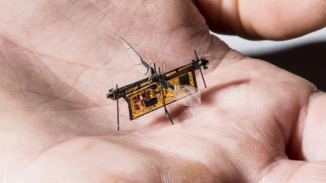 Инженеры создали машущего крыльями робота размером с насекомое