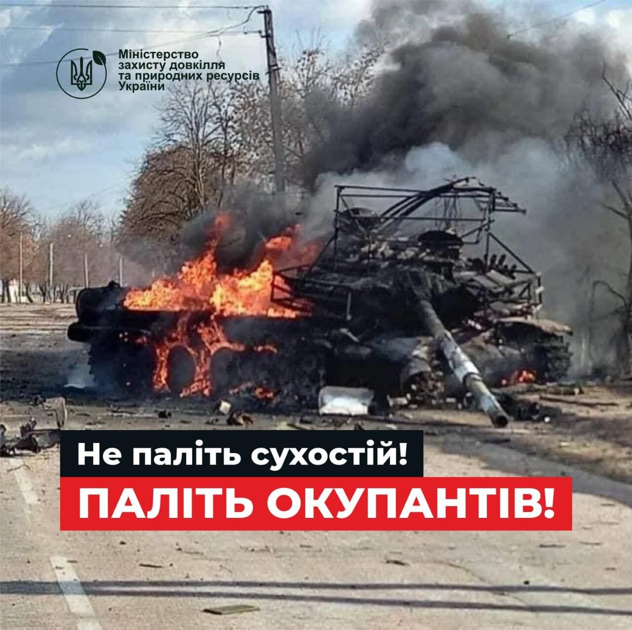 "Не паліть сухостій, паліть окупантів": в Мінзахисту довкілля звернулися із закликом до українців. Фото