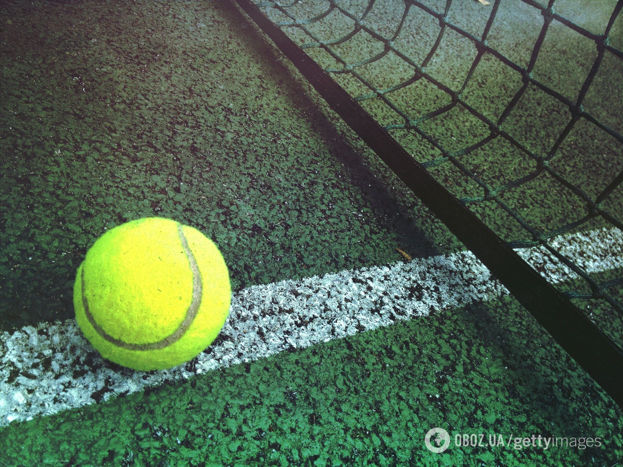 Перша ракетка світу Джокович заступився за відсторонених від Wimbledon російських тенісистів