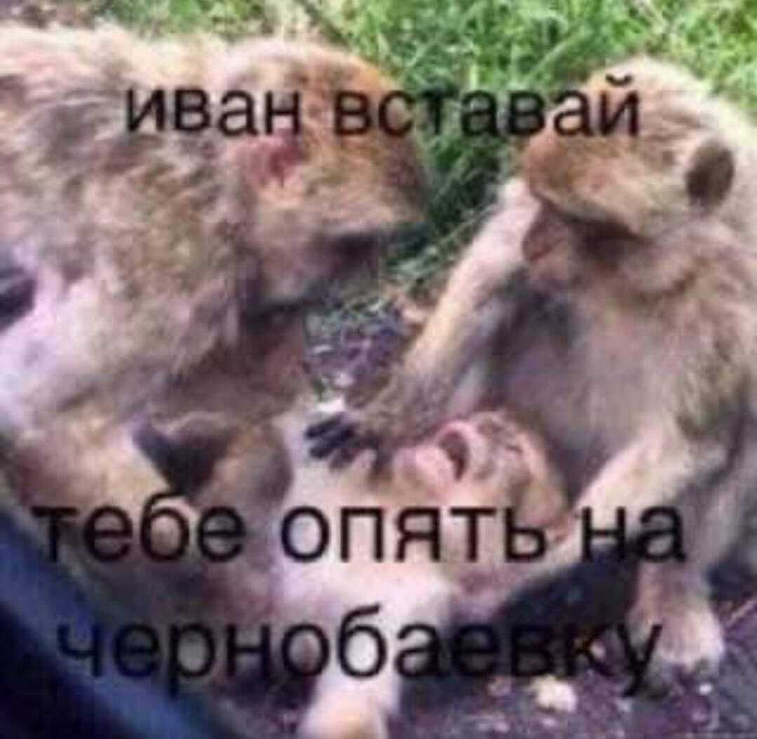 Удару там завдали вже вп'яте.