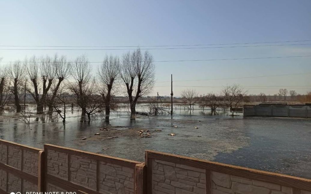 Демидов на Киевщине может затопить, река выходит из берегов. Фото