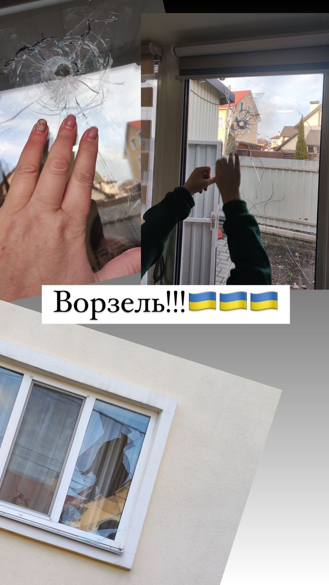 Дом Усиков атаковали