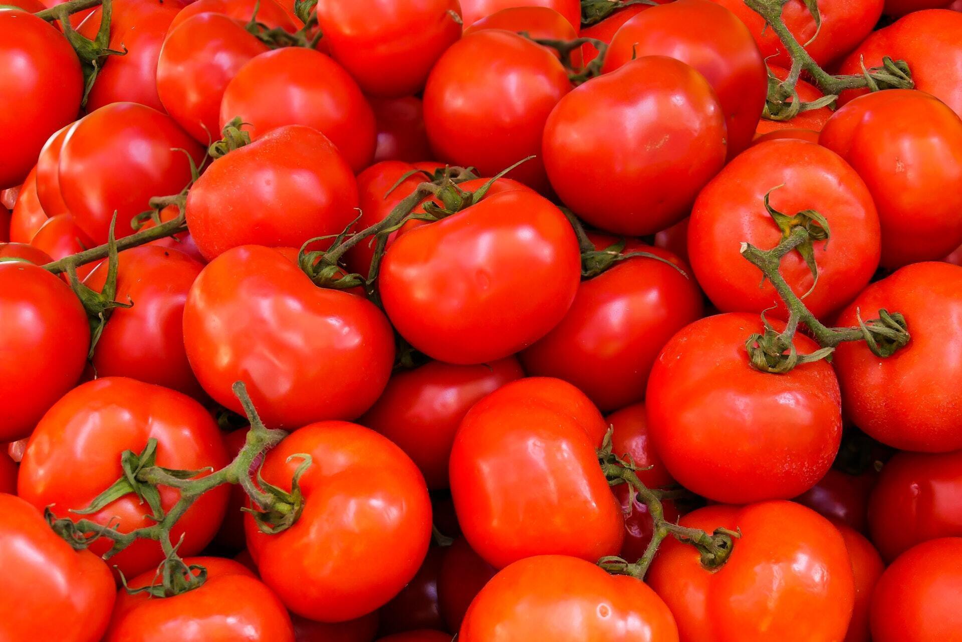 В РФ забраковали помидоры из Турции
