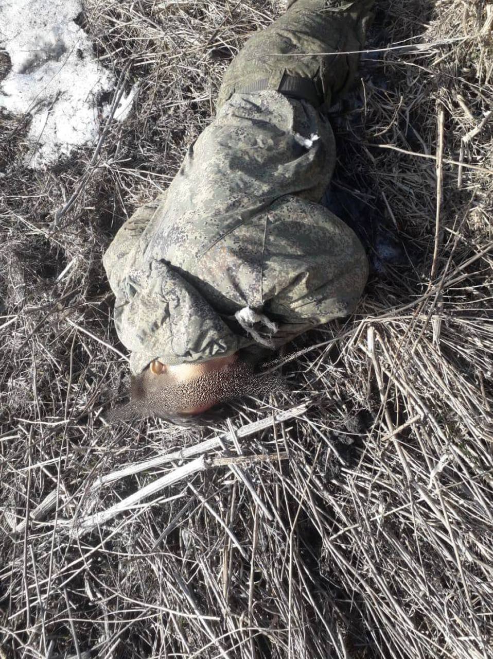 На Харківщині знайшли тіла мертвих російських окупантів