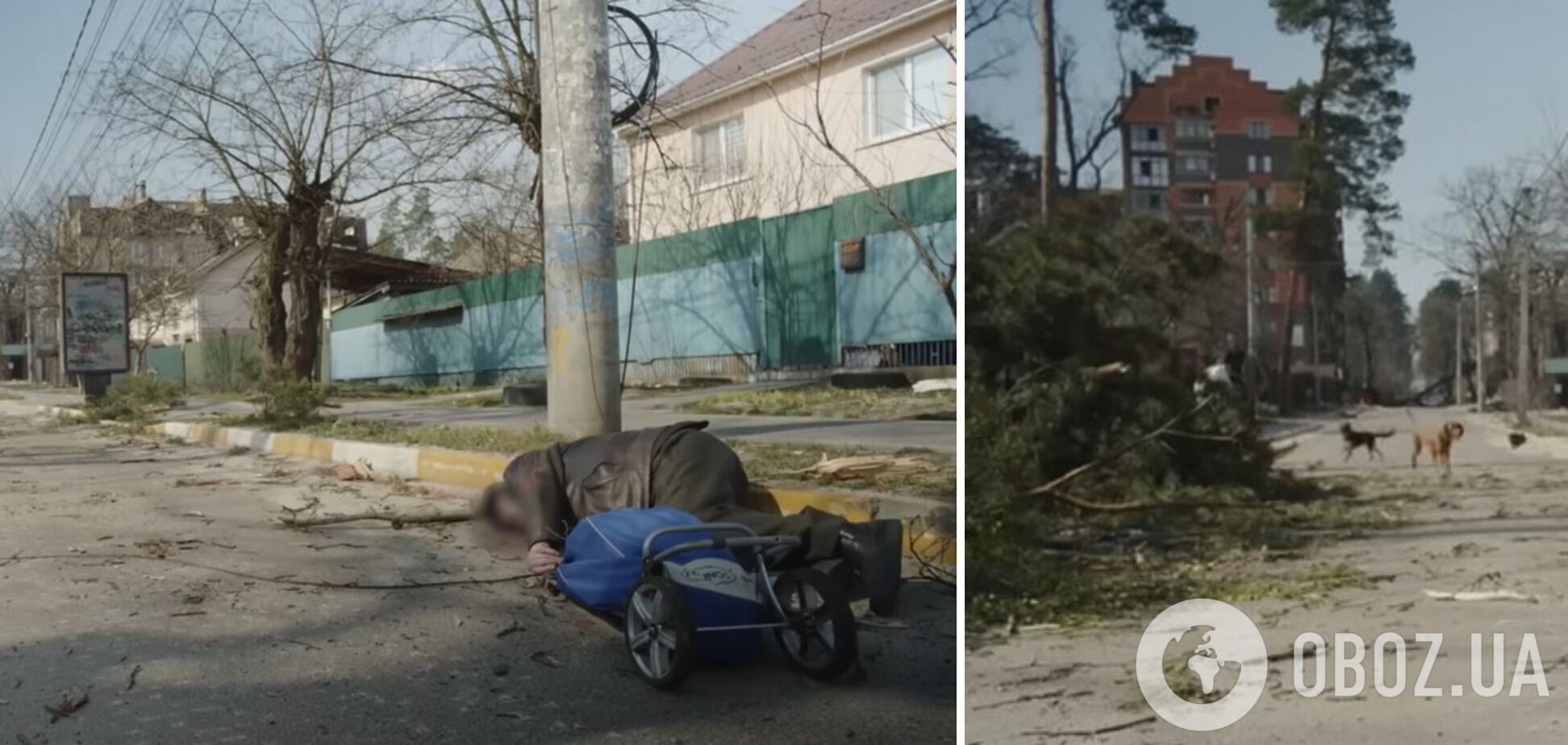 Тела погибших мирных жителей лежат посреди улиц, там бегают собаки