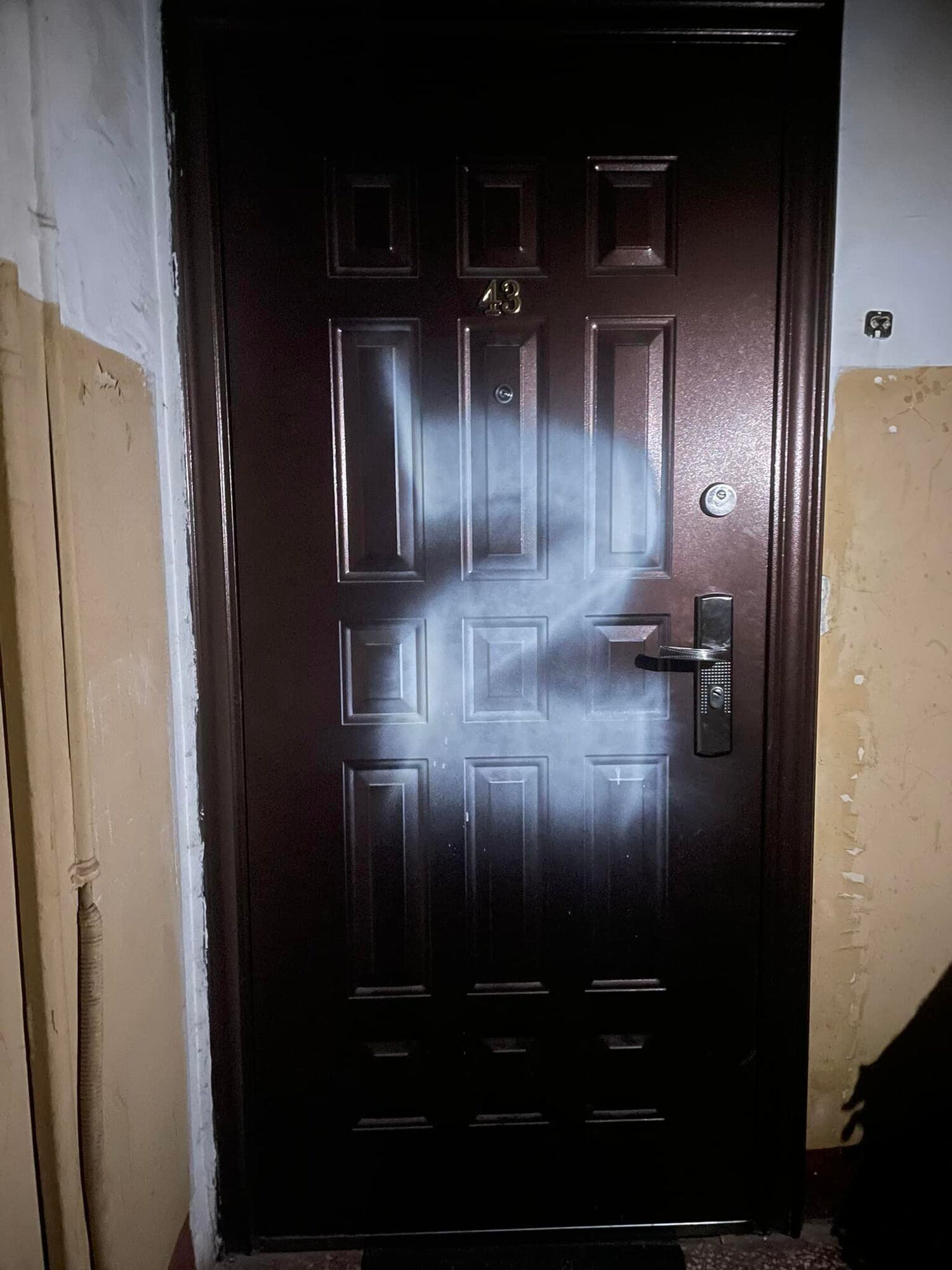 На двери квартиры кинокритика в Москве нарисовали символ Z.