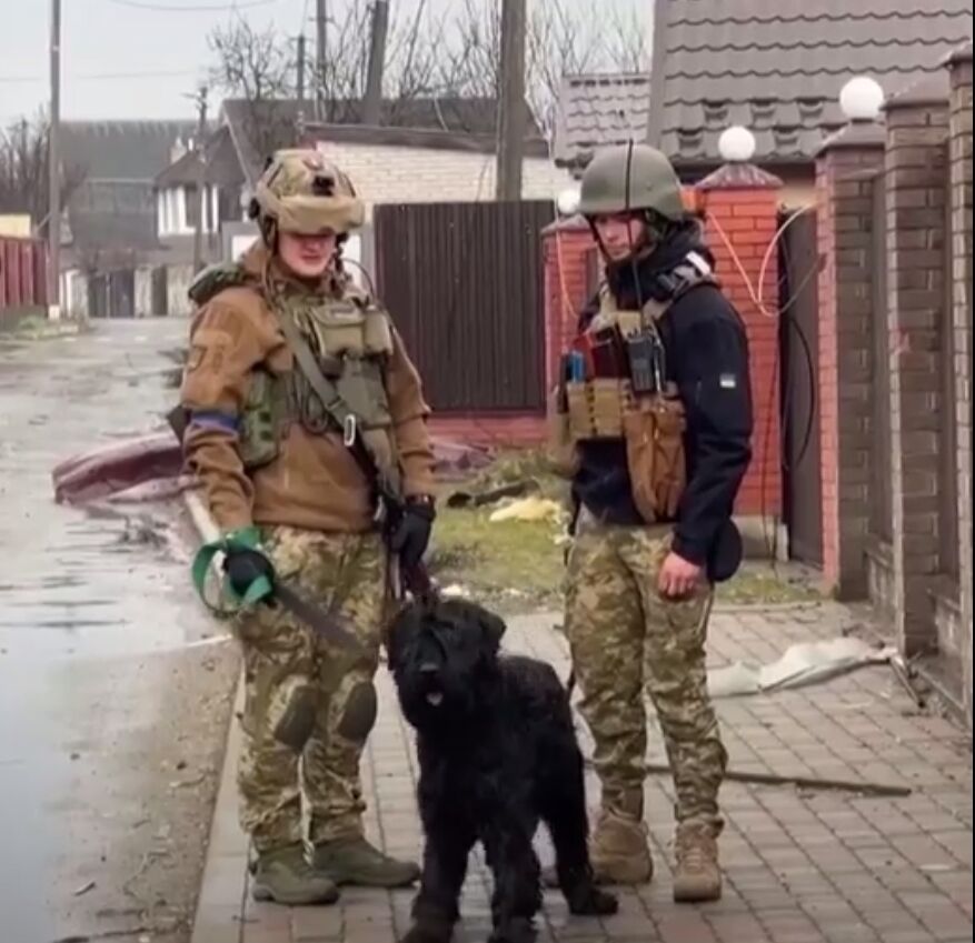 На Киевщине украинские солдаты спасли собаку, которую хозяева оставили в доме. Видео