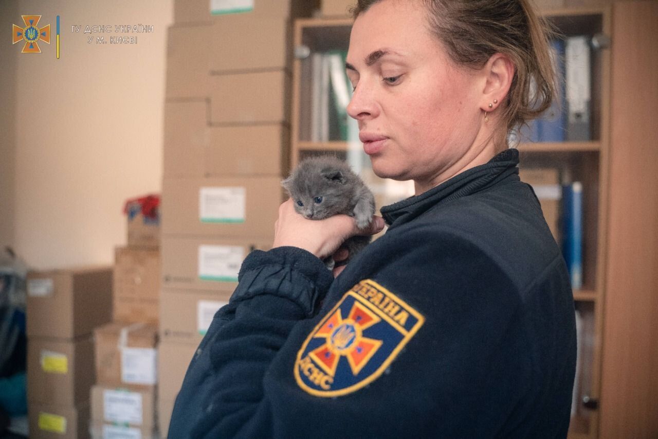 Шпулю забрала до себе рятувальниця-медикиня з Києва.