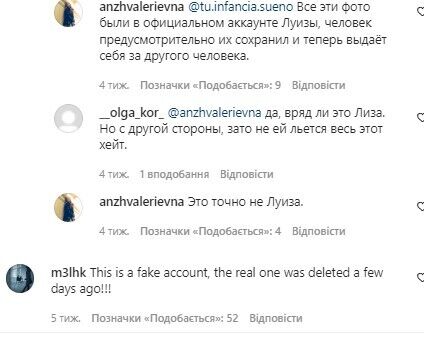 Комментарии на фейковой странице Луизы Розовой.