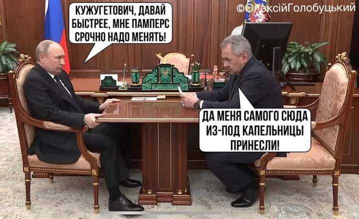 Путина и Шойгу высмеяли в сети