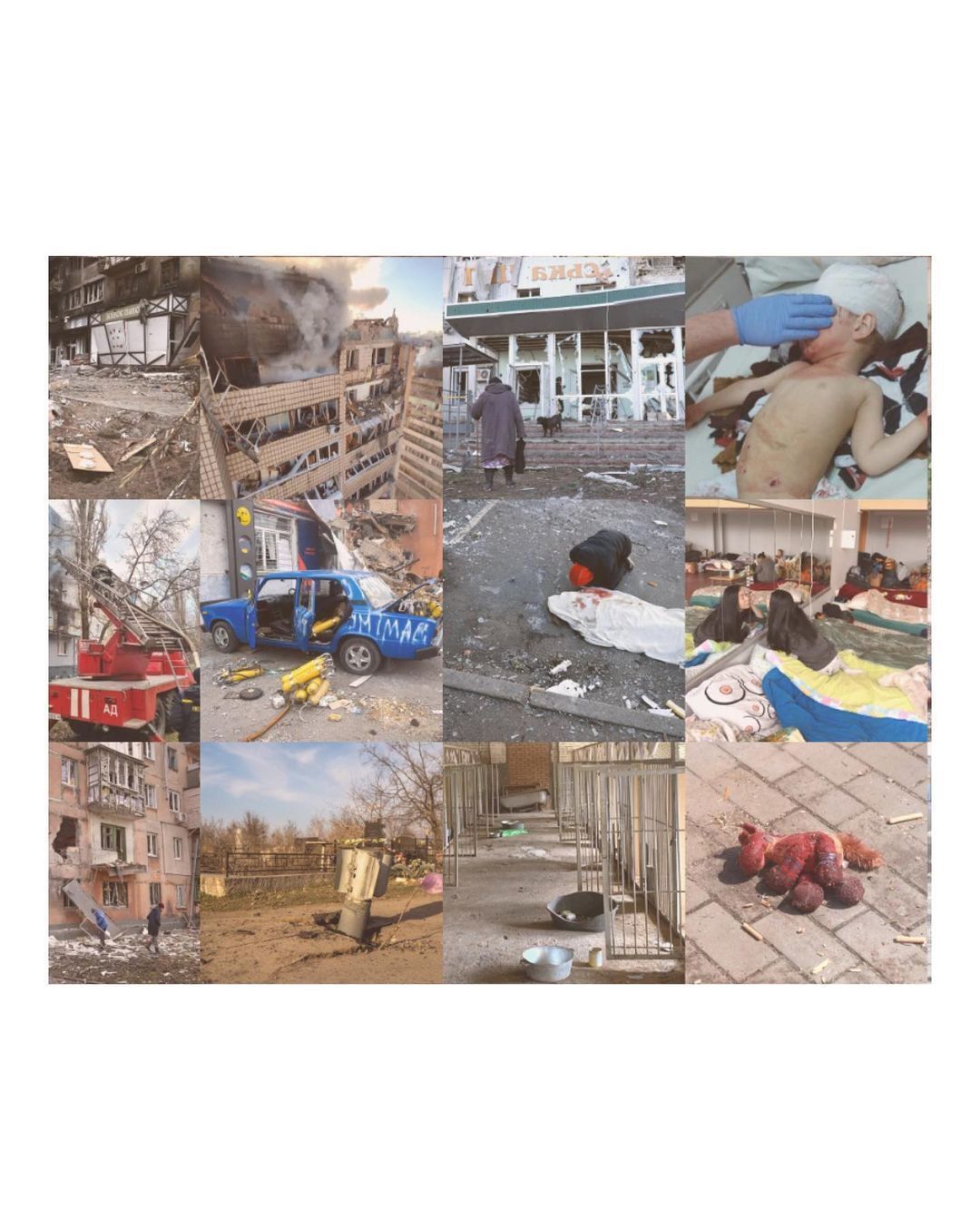 Фото з війни в Україні.