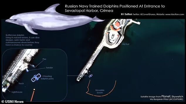 Плавающая клеть с боевыми дельфинами в Севастополе