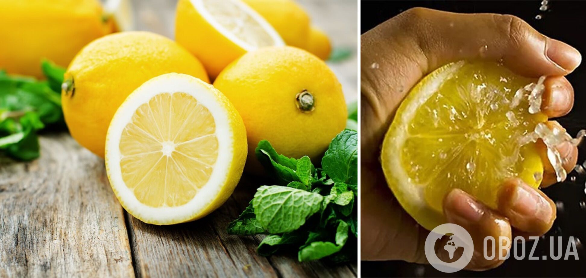 Лимон для блюда