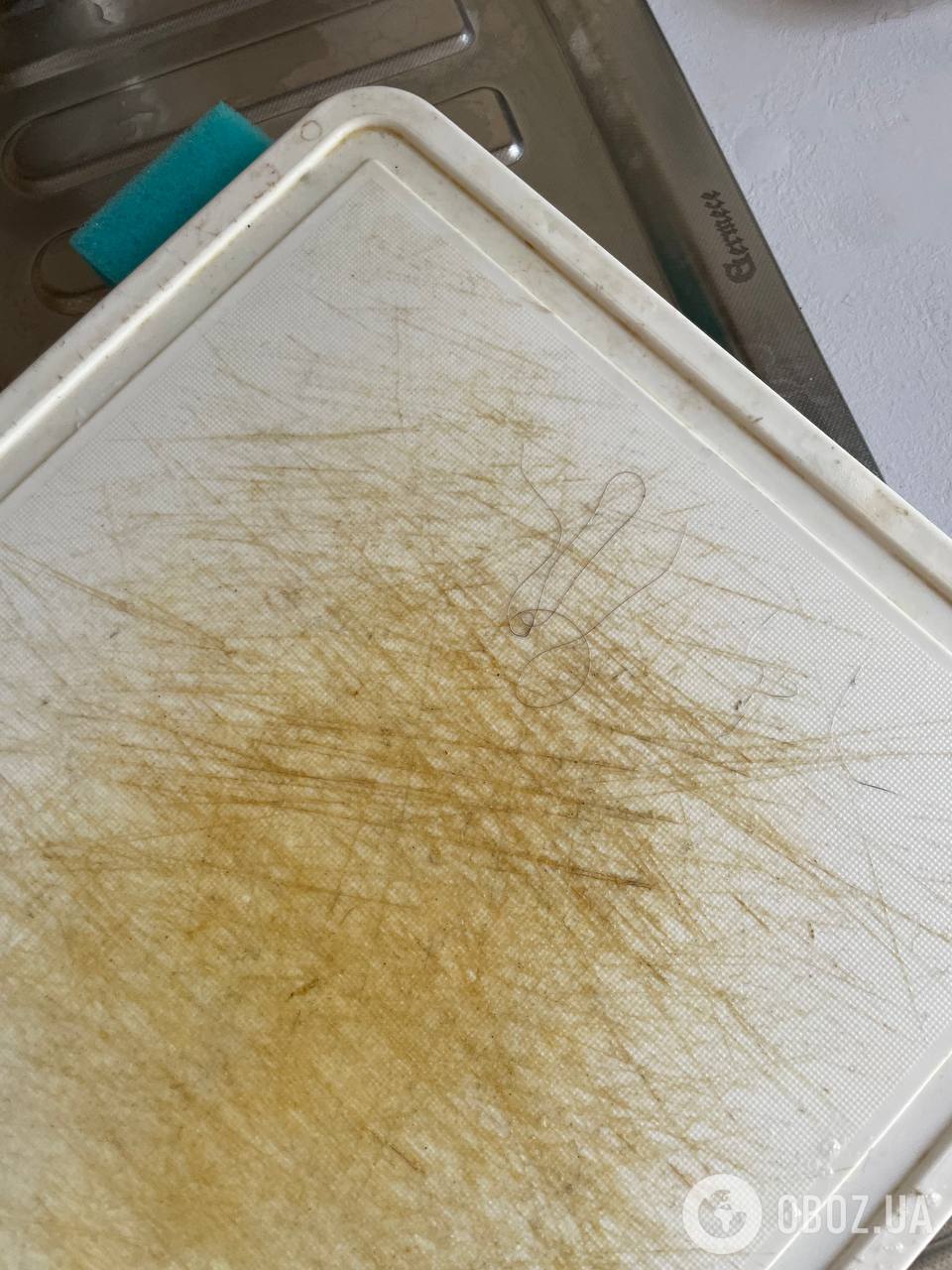 Волосся знайшли на брудному посуді