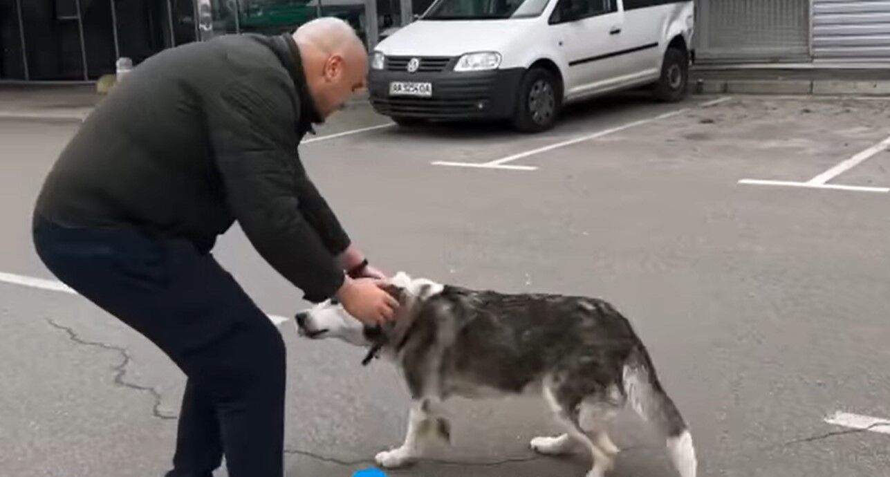 Щемящий момент встречи хозяина с Несси