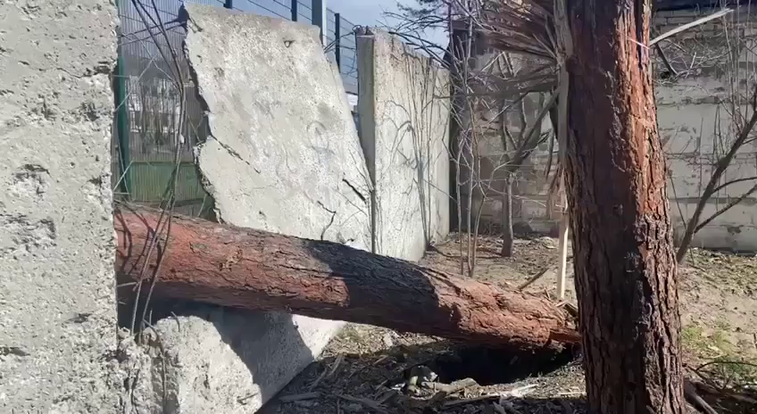 Зруйнована школа "Реала" в Ірпені