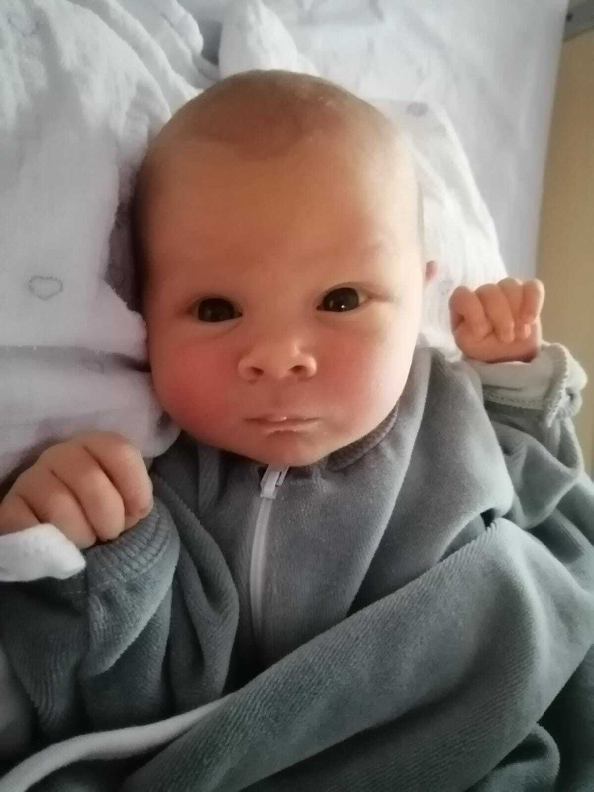 Эйтан Макаревич.