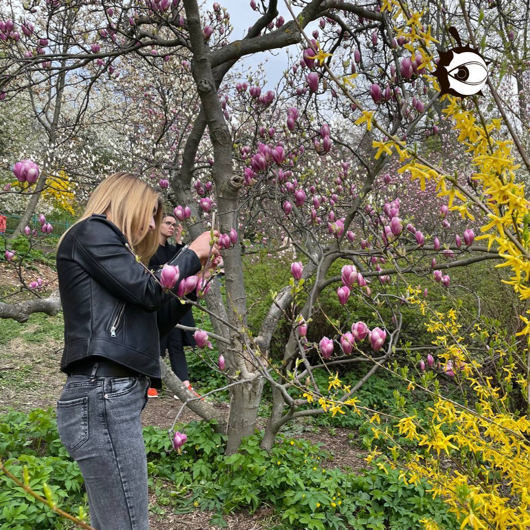 До ботсаду прийшли мешканці столиці, щоб сфотографуватися.