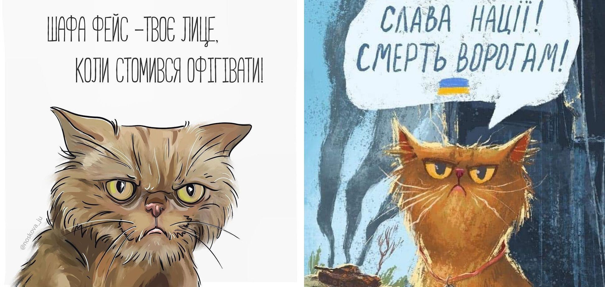 У мережі з'явилися футболки із зображенням кішки Шафи.
